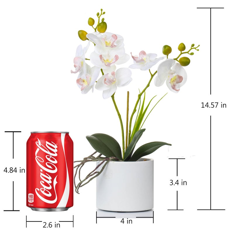 Jusdreen Artificial White Orchid in Ceramic Pot, Realistic Phalaenopsis Arrangement with Potting for Home Office Table Decor, 14.5 Inch Flower Centerpiece - Image 2